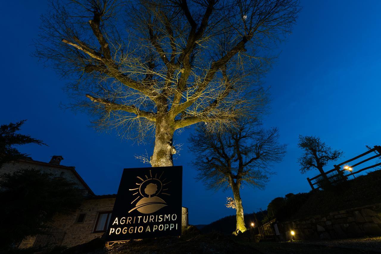Poggio A Poppi Villa Luaran gambar