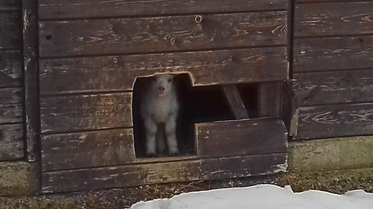 Poggio A Poppi Villa Luaran gambar